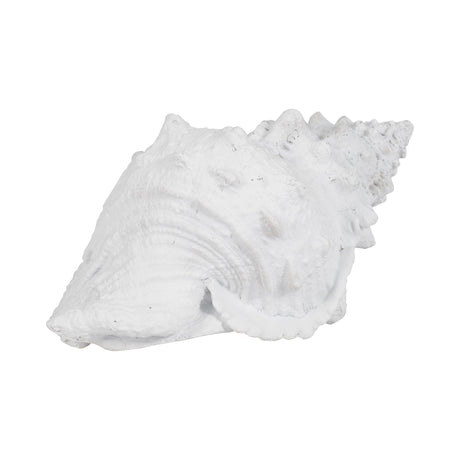 9" Conch Shell, White