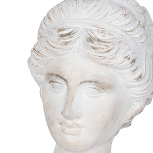 20" Venus Bust Distressed Resin, White