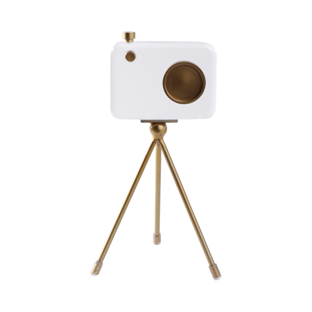 10" Bradford Acrylic And Brass Camera D?cor