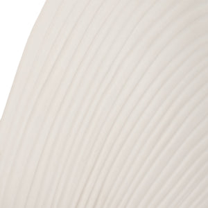 6" Seashell Decor, White