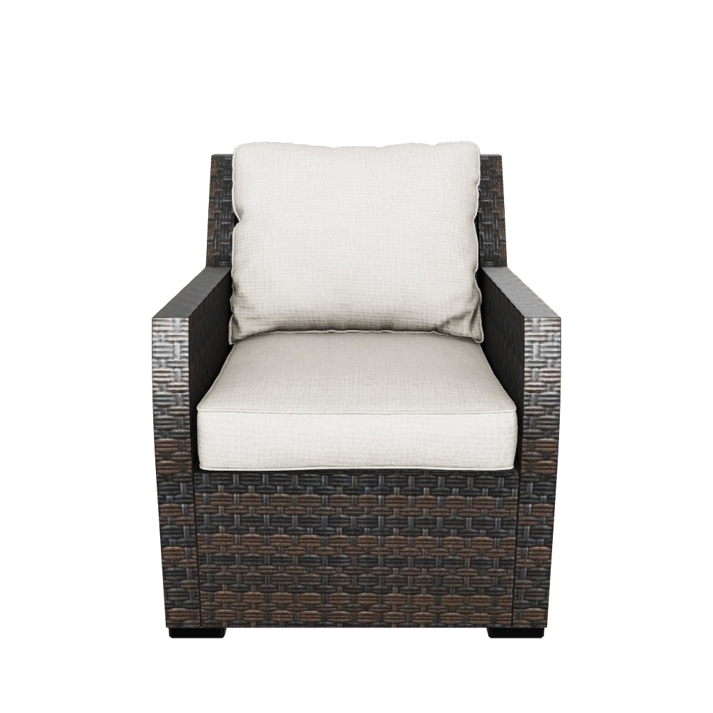 LOUNGE CHAIR W/CUSHION (1/CN)