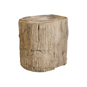 Petrified Accent Table