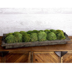 Heath, Preserved Moss Tray