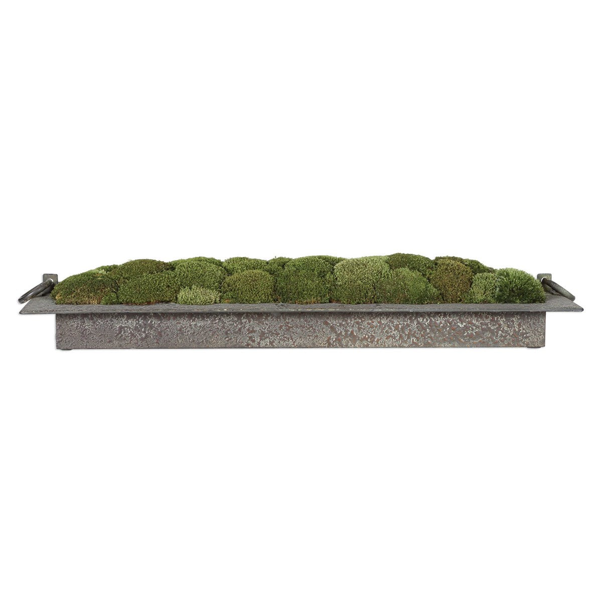 Heath, Preserved Moss Tray