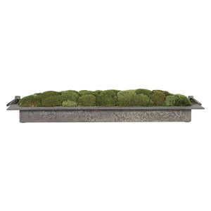 Heath, Preserved Moss Tray