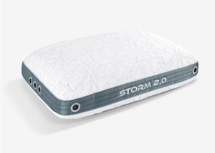 Storm 2022 Pillow