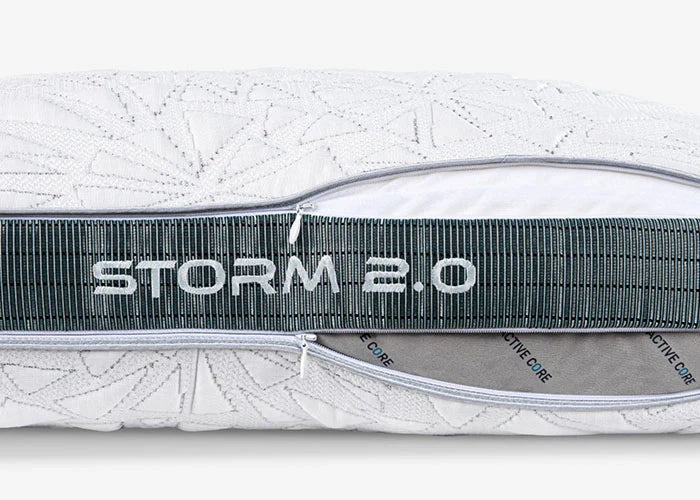 Storm 2022 Pillow