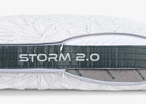 Storm 2022 Pillow