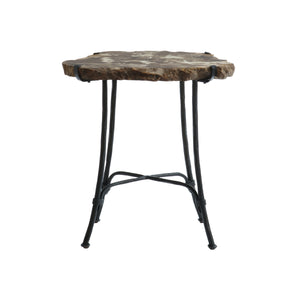 Petrified Side Table